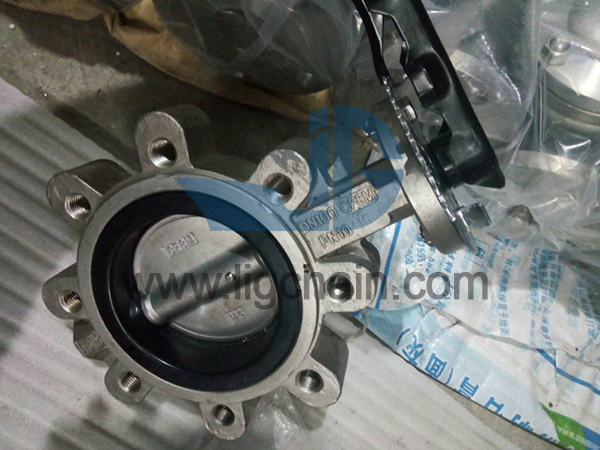 Stainless Steel Butterfly Valve 